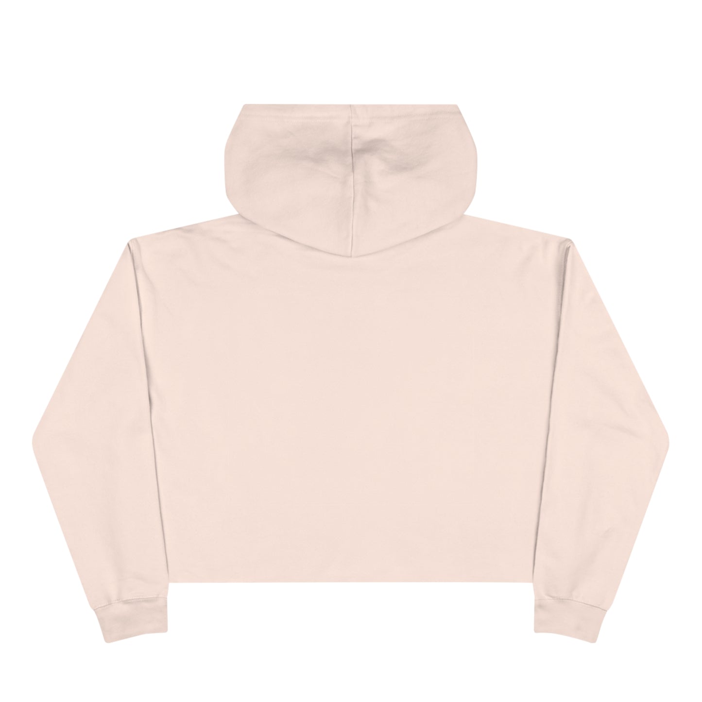 Lit Girl "Ice Cream" Crop Hoodie