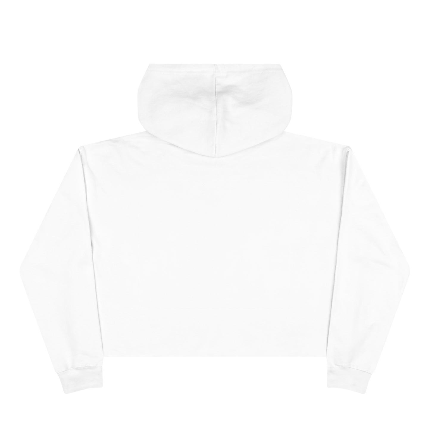 Lit Girl "Ice Cream" Crop Hoodie